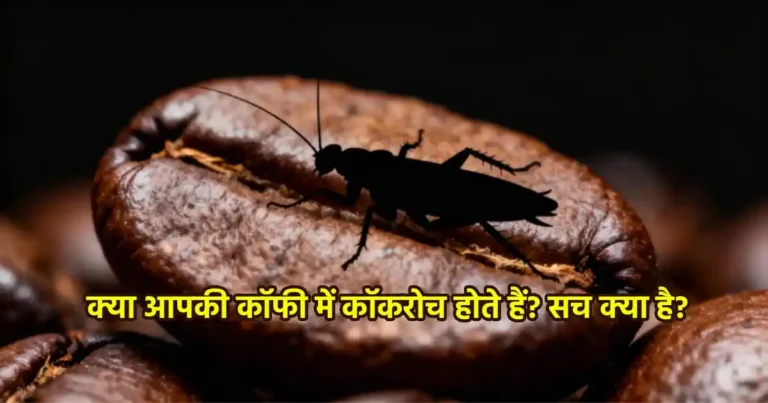 कॉफी में कॉकरोच का वायरल दावा - FSSAI और FDA के नियमों की तुलना के साथ तथ्य