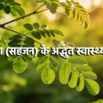 Moringa Benefits - मोरिंगा की ताजी हरी पत्तियां - पोषक तत्वों का प्राकृतिक स्रोत