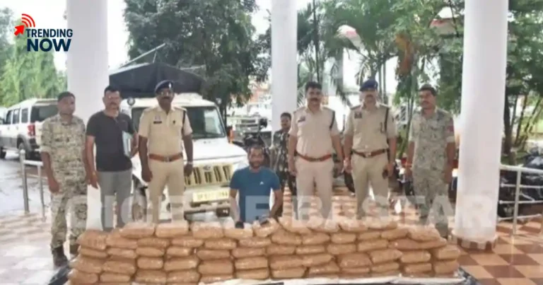 Ganja worth Rs 1 crore seized at Chhattisgarh Orissa border