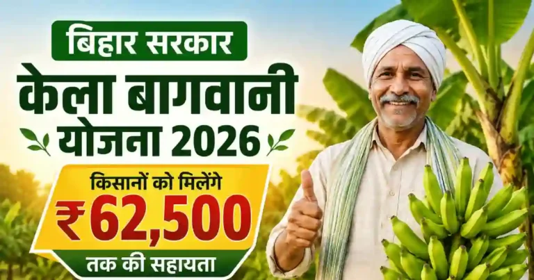 बिहार सरकार केला बागवानी योजना 2026: बिहार के किसानों को मिलेंगे 62500 फ्री केला बागवानी के लिए। जाने पूरी आवेदन प्रक्रिया और जरूरी दस्तावेज ?